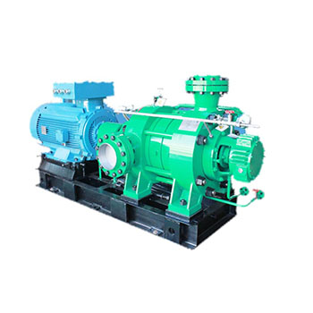 HORIZONTALLY OVERHUNG PUMPS