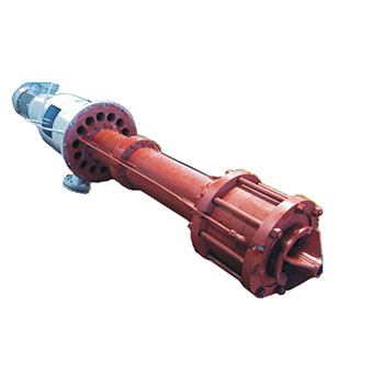 VERTICAL PUMPS
